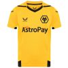 Buy Wolves home kit