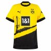 Dortmund Home 23-24