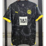 Dortmund Away 23-24