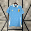 Buy Belgium Away 2024 Euro jersey Customizable from Topfootball