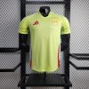 Buy Spain Away 2024 Euro Player version jersey 2 Spain-Away-2024-euro-player-verion-jersey
