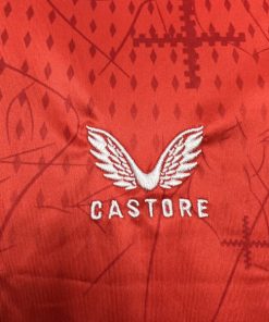 Alternative view of Bayer Leverkusen Home 2024-25