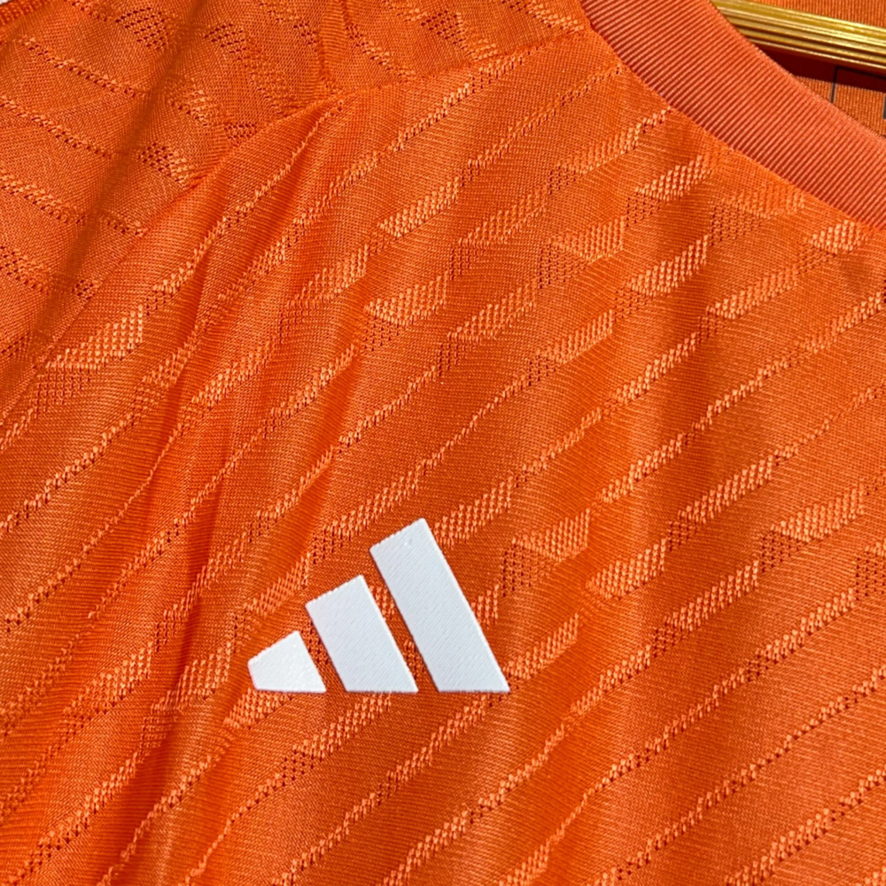 India cricket ODI Training jersey 2024 Player version - Image 4
