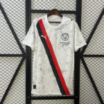 Manchester City away jersey 2025-26