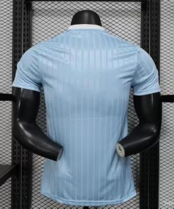 Alternative view of Sky Blue Player version 2024-25