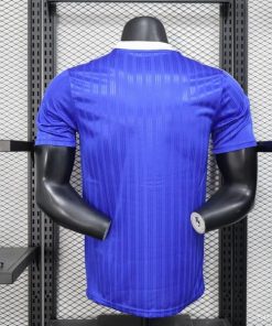 Player version Dar Blue jersey 4