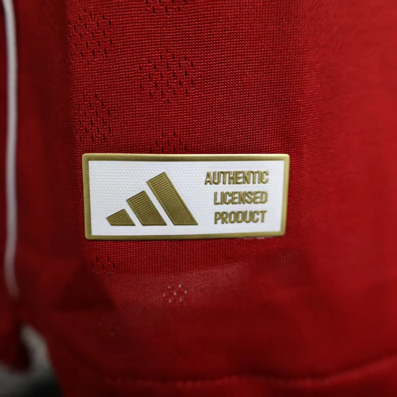 Buy Liverpool Home jersey 2025-26 Full sleeves Player Version - Image 2
